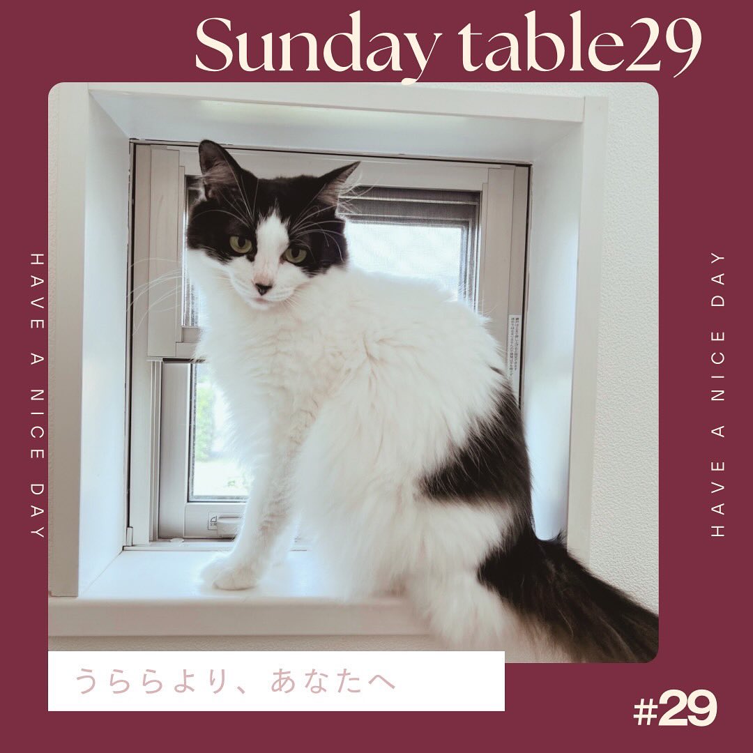 福山ランチボックス